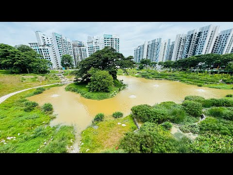 比达达利公园与阿卡夫湖 Bidadari Park & Alkaff Lake