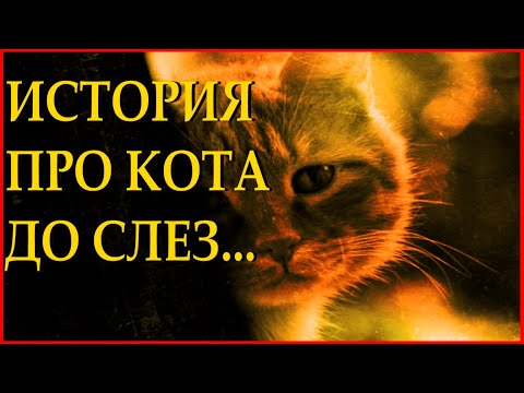 "Уродливый кот" - Игорь Мазунин Читает Леонид Юдин