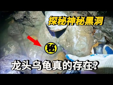 小夥探秘神秘黑洞，傳說中的龍頭烏龜竟然真的存在？旁邊這個東西讓人震驚！