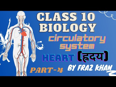 Circulatory System | Human Heart | Life Processes | Cbse class 10 Biology | by Fraz Khan