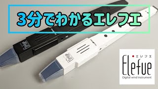 【さっくり】3分でわかるエレフエ - TaHorng EF10 Review