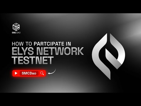 How To Participate In Elys Network Testnet