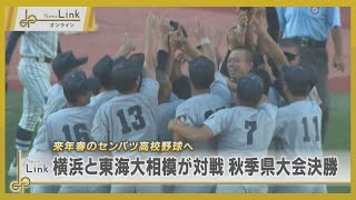 高校野球秋季県大会　横浜と東海大相模が対戦 来年春のセンバツ高校野球へ【News Linkオンライン】