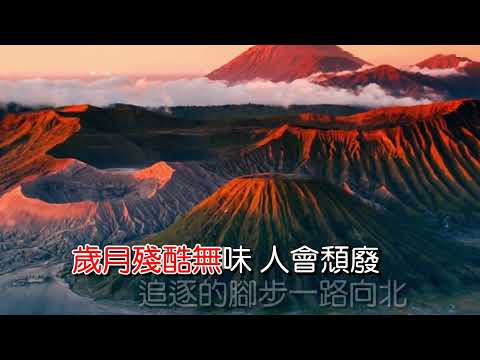 王爱华-谁的生活没有苦与累(KTV)