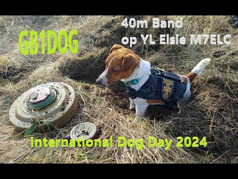 GB1DOG - On Air, 40m BAND. M7ELC operating for International Dog Day 🦮