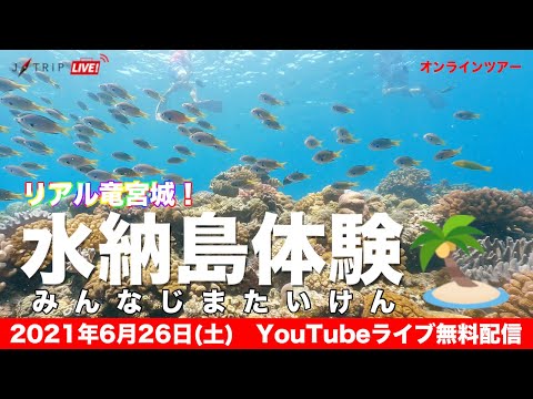 【オンラインツアー】リアル竜宮城！絶景の海広がる水納島（みんなじま）体験！