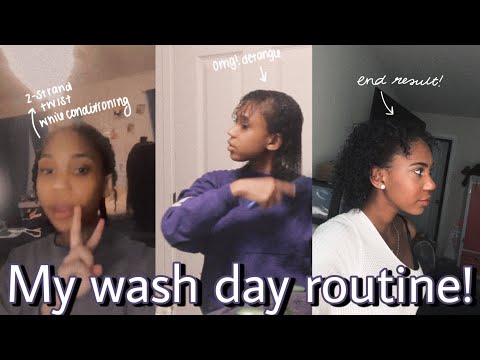 My Wash Day Routine | Curly, Dry, & Itchy Scalp