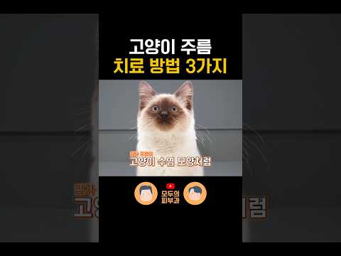 '고양이 주름' 효과적으로 없애는 3가지 방법!