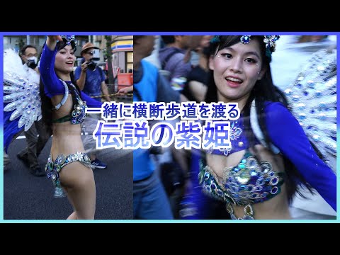 4K 大学生サンバ 伝説の紫姫と横断歩道を渡る カーニバル ウニアンメンバー 平間銀座サマーフェスタ 2023 Japanese Samba