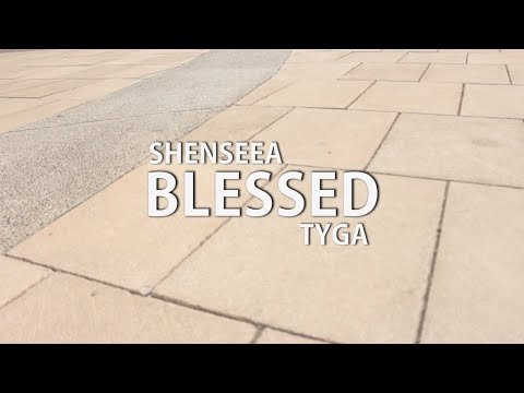 Shenseea-Blessed (feat Tyga) / LB DANCE COMMUNITY