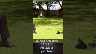 ED was fired from ZANU PF for lack of patriotism #hstvzim