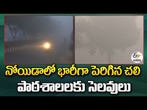 Schools Closed In Noida Due to Massive Cold Wave | నోయిడాలో భారీగా పెరిగిన చలి | పాఠశాలలకు సెలవులు