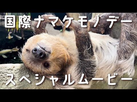 【国際ナマケモノの日】ナマケモノの疑問に飼育員が答えます