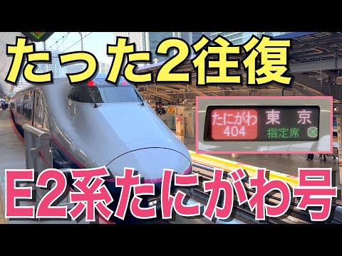 【上越新幹線】E2系たにがわ号に乗ってきた！