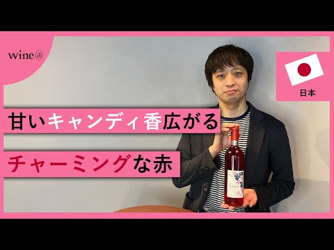 【甘いキャンディの香り広がる赤ワイン】Nikkawaワイナリー / アジロンダック（日本）