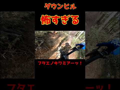 「MTBの恐ろしさ」ダウンヒル中・・突然逝く。#マウンテンバイク #mtb #downhill