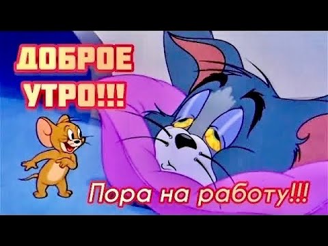 Утро добрым не бывает 🤣￼С Добрым утром и хорошим днем #юмор