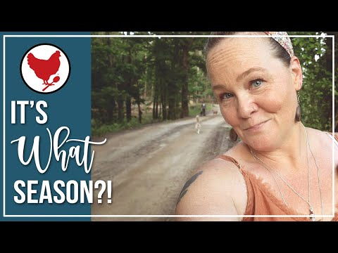 It's WHAT Season?! | Rebuilding the Garden | Vlog