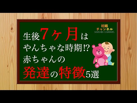 【生後7ヶ月②】やんちゃな時期！？生後7ヶ月の発達の特徴5選