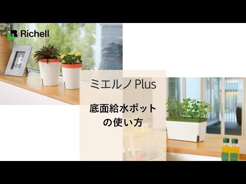 【生産終了】ミエルノPlus ポット｜底面給水コンテナの使い方【リッチェル公式 園芸用品】