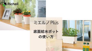 【生産終了】ミエルノPlus ポット｜底面給水コンテナの使い方【リッチェル公式 園芸用品】