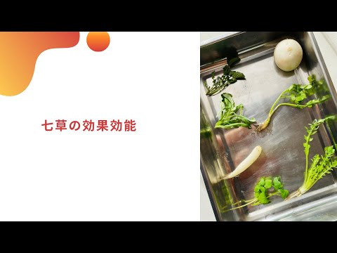 春の七草　効果効能　イタリア料理教室　東京都小平市