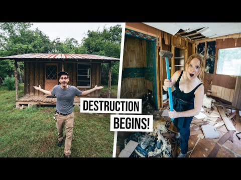 CRAZY UPDATE 😳 We’re Renovating Our Creepy Abandoned TINY HOUSE!?