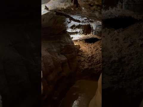 Groundwater seeping from the ceiling of Ohio Caverns, the largest cave system in Ohio, USA!