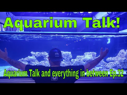 Aquarium Talk!