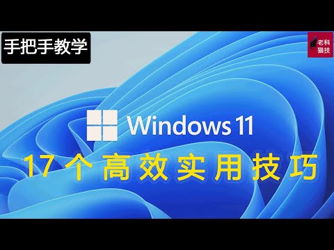 Windows11的17个高效实用技巧，手把手教给您！让您的办公效率飞起来！Windows11的17個高效實用技巧，手把手教給您！讓您的辦公效率飛起來！