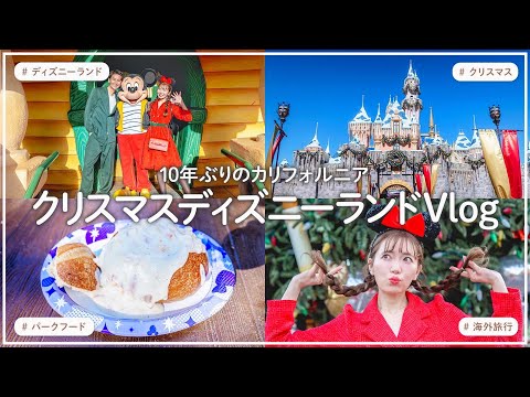 【神体験だらけ】クリスマスのカリフォルニアディズニーランドが凄すぎた【VLOG】