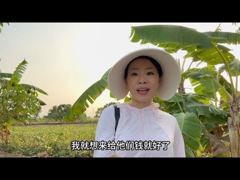 满地的瓜果蔬菜，开满鲜花的大田是惊喜还是惊吓？一起去看看吧