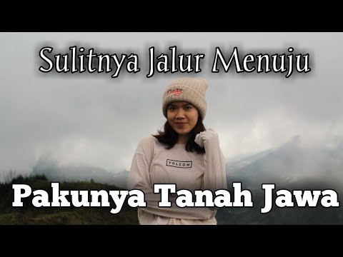 Pakunya tanah Jawa.  / Gunung Pakuwaja / part 2. / track yang sadis