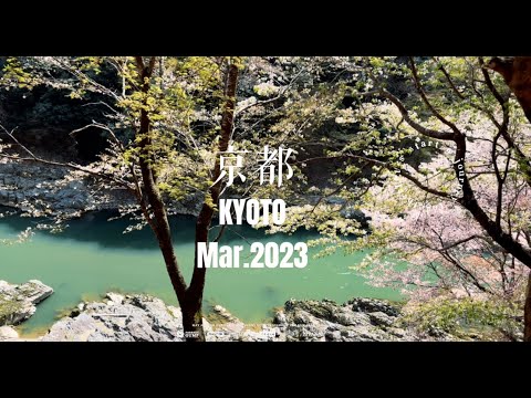 [4K Dolby Vision]Kyoto, Japan.2023 FUJIFILM GFX50S Street Photograph Vlog 日本京都之春，富士GFX 50S 日本扫街 VLOG