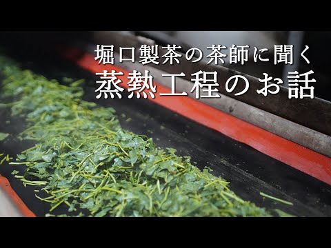 堀口製茶の茶師に聞く～お茶の蒸熱工程のお話