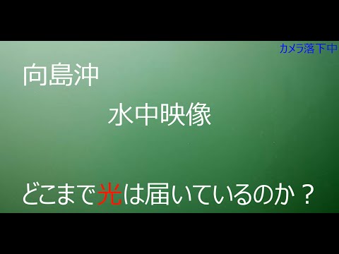 向島沖　水中映像　～何メートルまで光は届いているのか？～