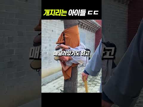 이게 진정한 조기교육이지