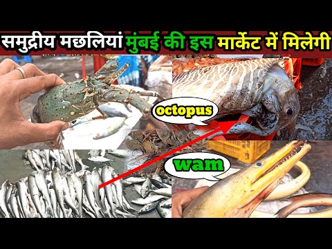 🐟 समुद्रीय मछलियां🐟 मुंबई की इस मार्केट मे मिलेगा🐟MALAD FISH MARKET 🐟 Mumbai fish Market मच्छी बाजार