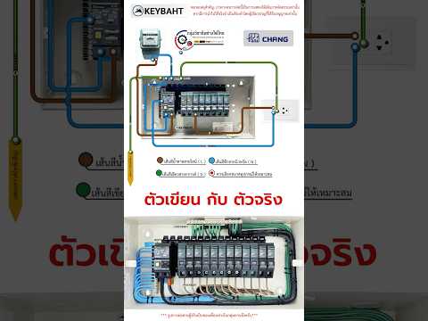 วงจรต่อตู้คอนซูมเมอร์เมนกันดูด RCBO แบบปลั๊กออนแบรนด์ CHANG #ไฟฟ้า #diy #ช่างไฟฟ้า #electrical