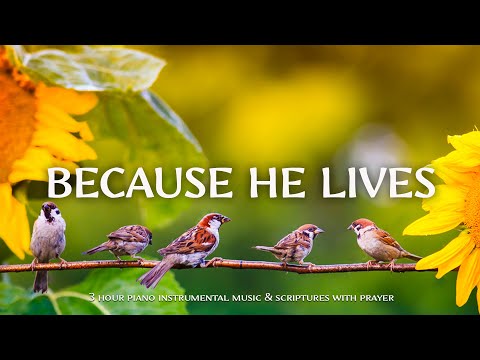 Because He Lives : Instrumental Worship and Scriptures with Birds 🕊 Christian Instrumental