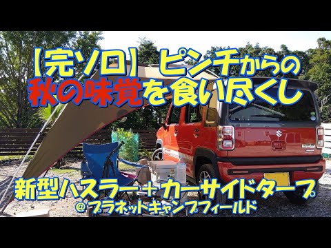 【完全ソロキャン】ピンチからの秋の味覚食い尽くし 新型ハスラー車中泊+カーサイドタープ@プラネットキャンプフィールド