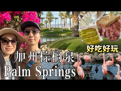 🇺🇸Palm Springs棕榈泉【EP2】打卡网红JW万豪火烈鸟池🦩明星都来吃的三明治店到底在哪？ 🥪爬山俯瞰整个城市有多美🌴downtown打卡网红奶昔店