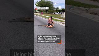 Florida Man Wrestles Alligator As Police Watch