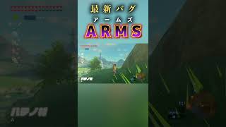 【2023年最新バグ】無敵＆スタミナ無限＆料理永続のぶっ壊れバグ『ARMS』って知ってる？【ブレワイ】