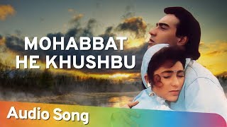 Mohabbat He Khushbu | Jigar (1992) | Ajay Devgan | Karishma Kapoor | Mohammad Aziz Collection