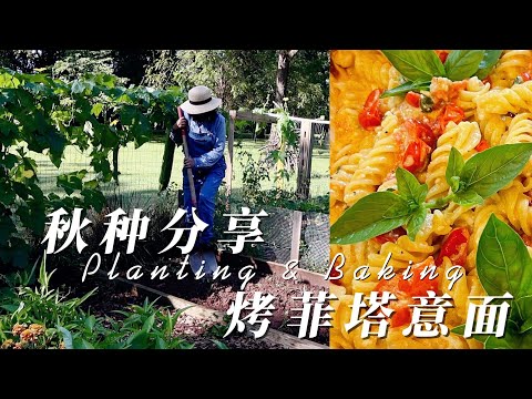 SUB）慢生活Slow Living ｜秋天必种的菜，怎样播种、施肥｜聊聊为什么种菜｜现摘的番茄烤菲塔意面｜Planting Winter Vegetables｜Baked Feta Pasta