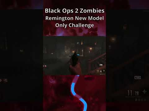 using a Forgotten Gun for a whole game (Black Ops 2 Zombies)