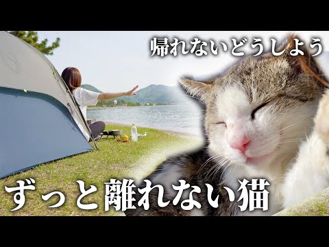 [subtitles]野良猫カムバック！絶景湖畔キャンプ