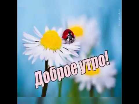 Доброе утро🌺🌺🌺всех земных благ🌺🌺🌺