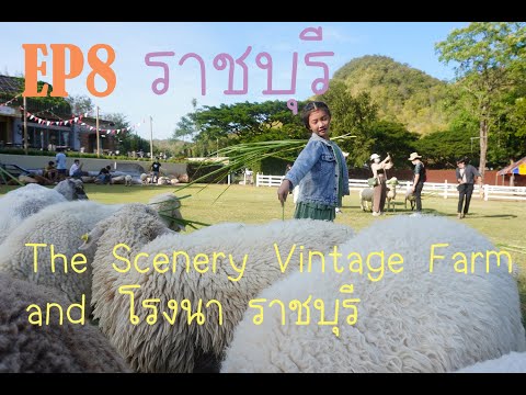 EP 8 เที่ยว The Scenery Vintage Farm และ โรงนา ราชบุรี